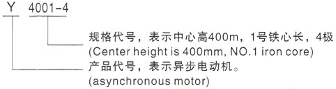 西安泰富西玛Y系列(H355-1000)高压YRKK7104-6三相异步电机型号说明