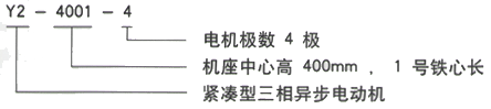 YR系列(H355-1000)高压YRKK7104-6三相异步电机西安西玛电机型号说明